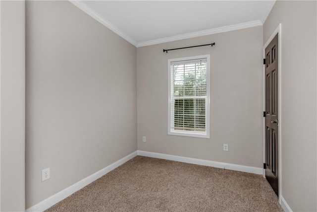 carpeted empty room featuring crown molding