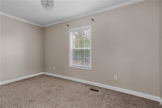 unfurnished room featuring ornamental molding, carpet, and plenty of natural light