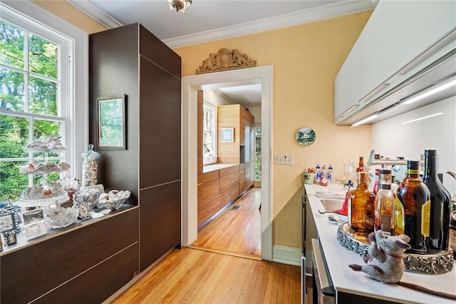 kitchen featuring light hardwood / wood-style floors and ornamental molding