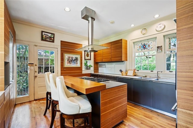 kitchen featuring decorative backsplash, island exhaust hood, light hardwood / wood-style floors, and stainless steel gas stovetop