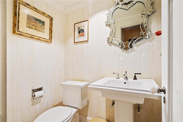 bathroom with crown molding and toilet