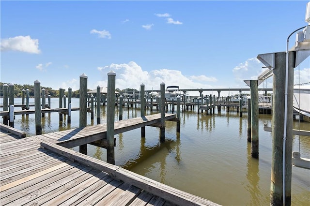 dock area with a water view