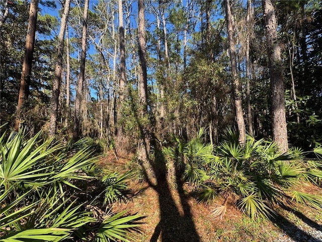 Listing photo 3 for 1106 Narbonne Pl, Dauphin Island AL 36528