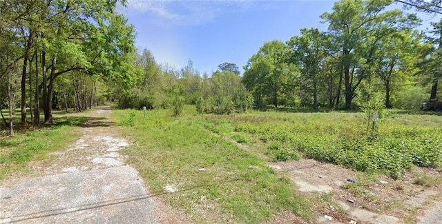 1211 Buena Dr E, Mobile, AL 36605
