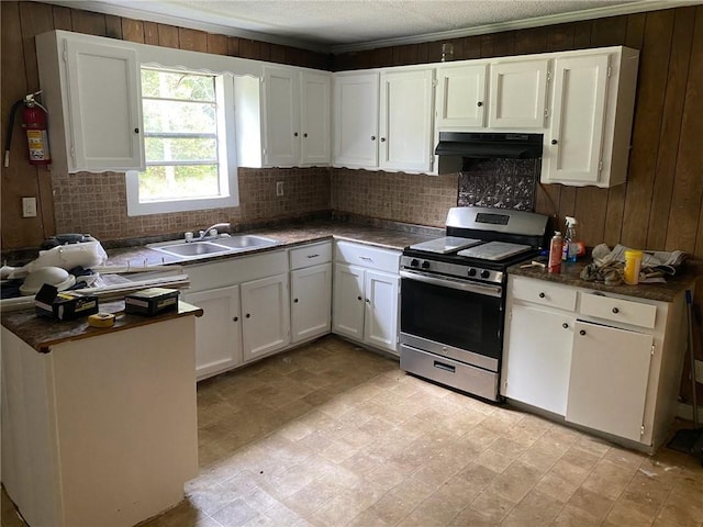 kitchen with white cabinets, wood walls, stainless steel range oven, and sink