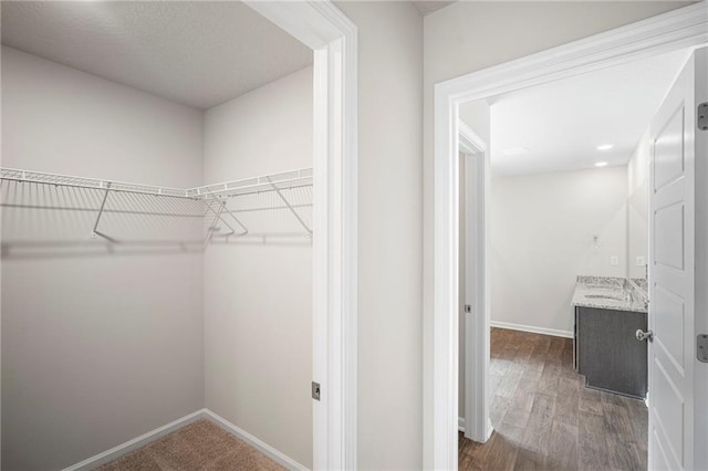 10529 Wales Ln, Spanish Fort, AL 36527 - walk in closet featuring a sink and dark wood-style floors