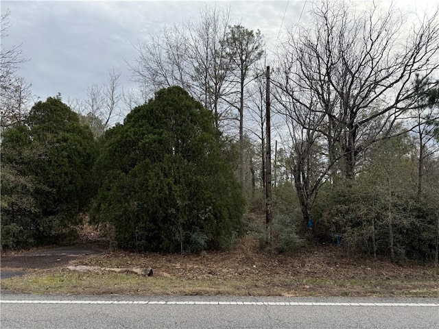 11065 Beverly Jeffries Hwy, Citronelle AL, 36522 land for sale