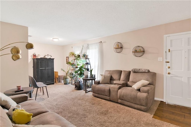 living room featuring a textured ceiling