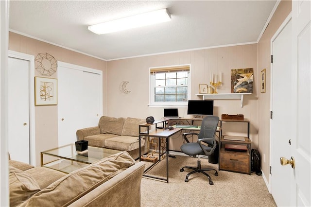 office space featuring carpet floors, ornamental molding, and a textured ceiling
