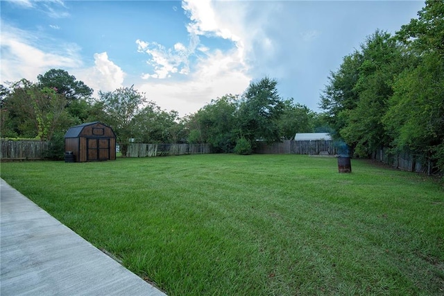 view of yard with a shed