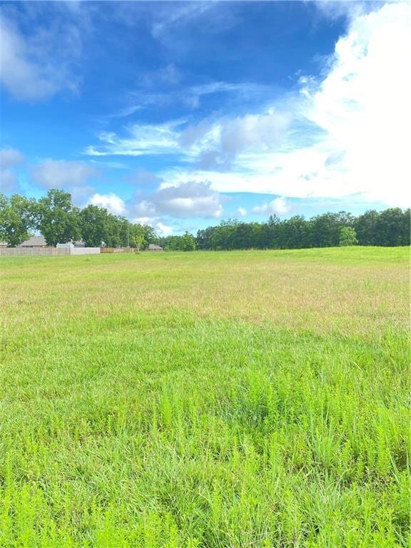 0 Half Mile Rd, Irvington AL, 36544 land for sale