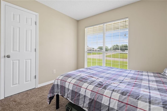 13578 James Copeland Dr, Mobile, AL 36695 - bedroom with carpet, baseboards, and a textured ceiling