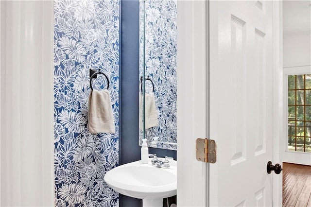 bathroom with hardwood / wood-style flooring and sink