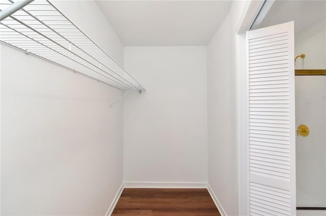 walk in closet with wood-type flooring