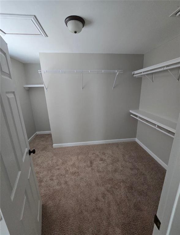 4973 Mccrary Rd, Semmes, AL 36575 - spacious closet featuring carpet floors and attic access