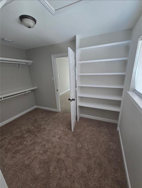 4973 Mccrary Rd, Semmes, AL 36575 - walk in closet featuring carpet flooring