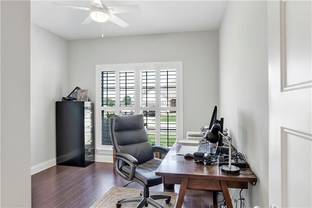 office featuring dark hardwood / wood-style flooring and ceiling fan