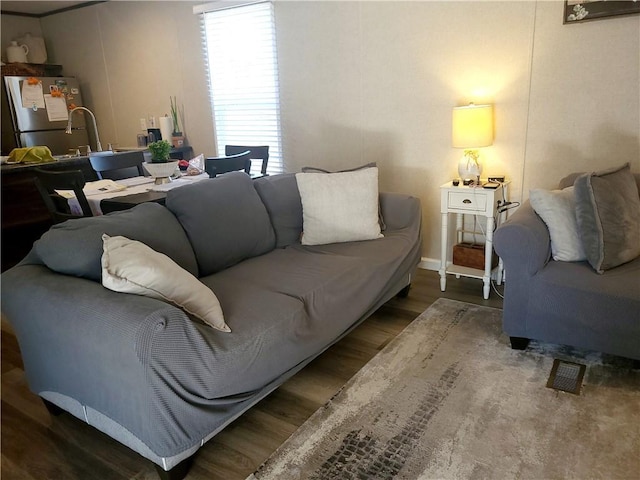 living room featuring hardwood / wood-style flooring and sink