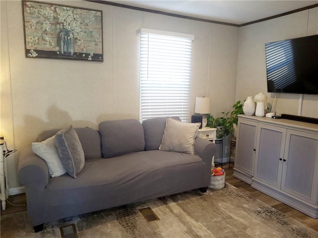 living room featuring ornamental molding and wood-type flooring