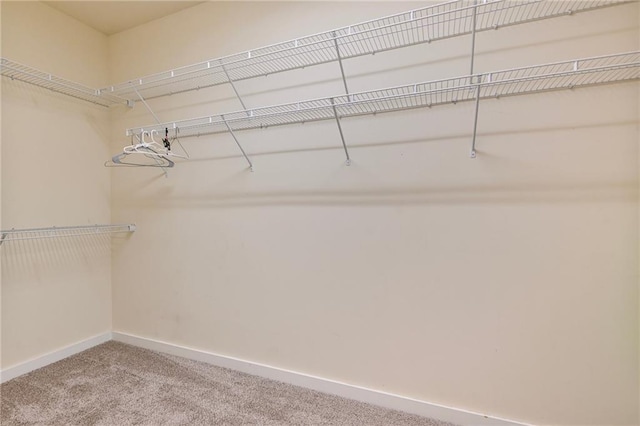 walk in closet with carpet