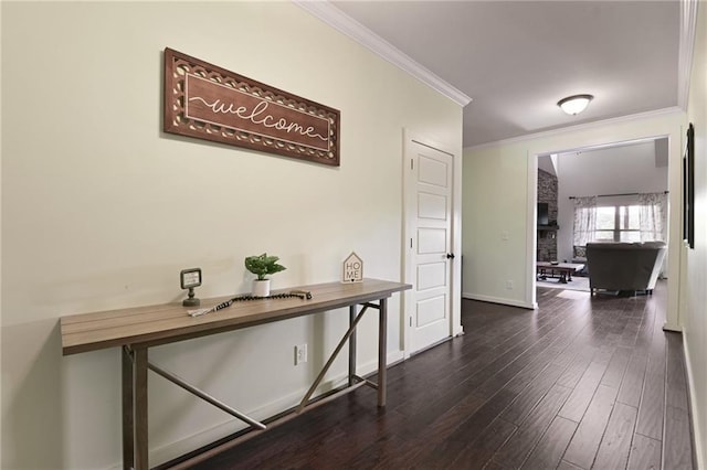 hallway with wood-type flooring and crown molding