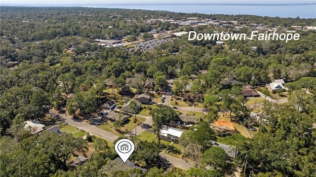 aerial view with a wooded view