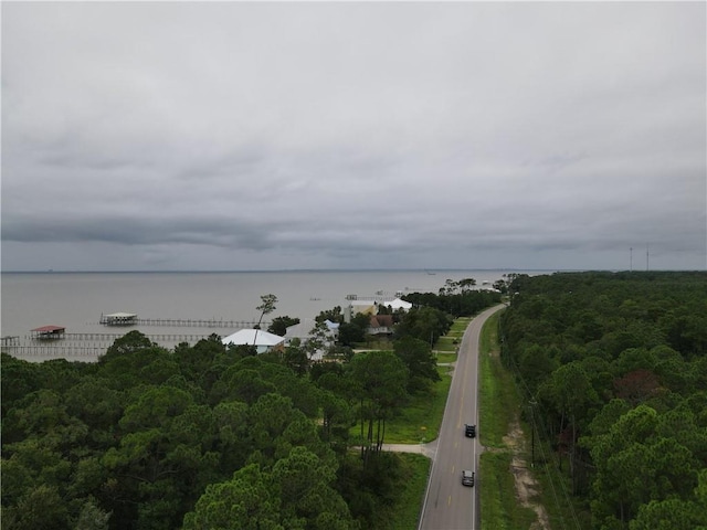 Listing photo 3 for 0 Dauphin Island Pkwy, Coden AL 36523