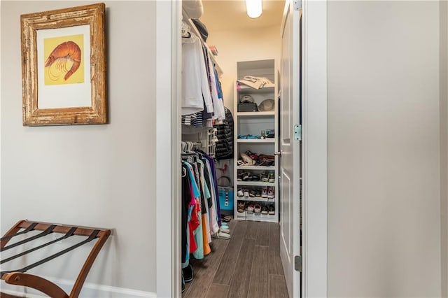 walk in closet featuring dark wood-style floors