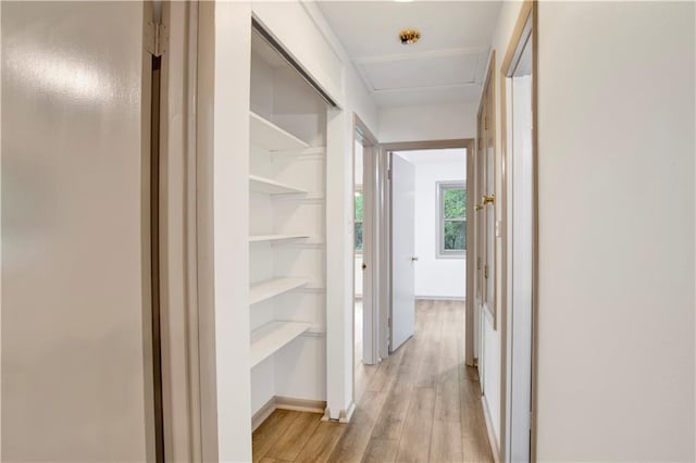 corridor with light wood-type flooring