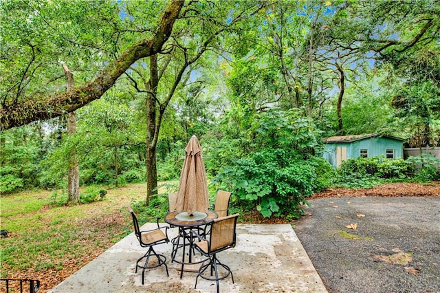 view of patio / terrace featuring a shed