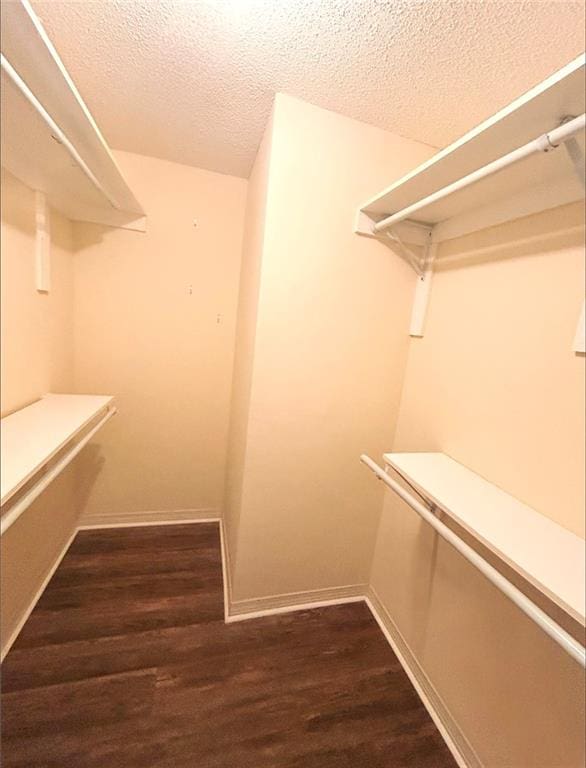 walk in closet with dark wood-type flooring