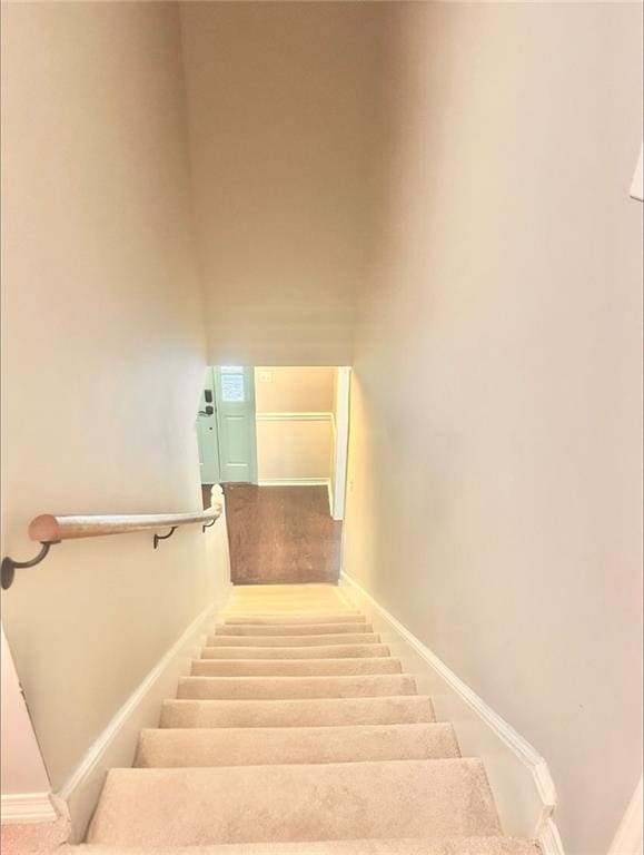 staircase featuring carpet floors