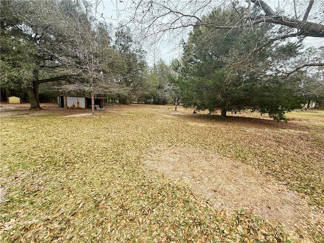 view of yard with a shed and an outdoor structure