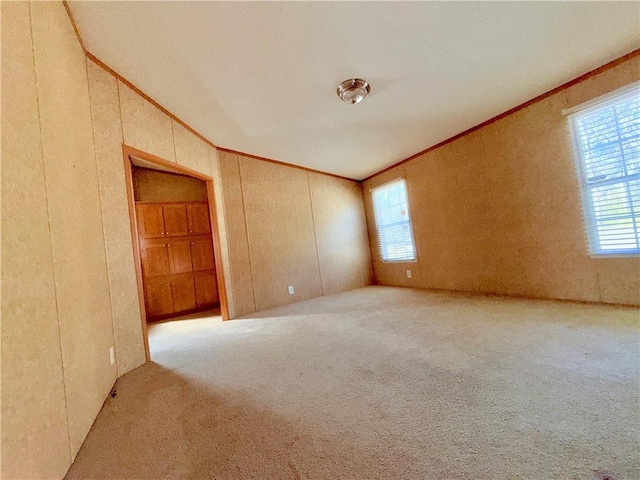 unfurnished room with a healthy amount of sunlight, carpet, and crown molding