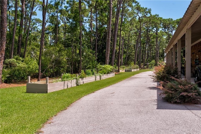 view of home's community featuring aphalt driveway, a garden, and a lawn