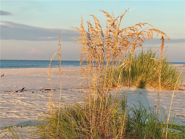 view of water feature with a view of the beach