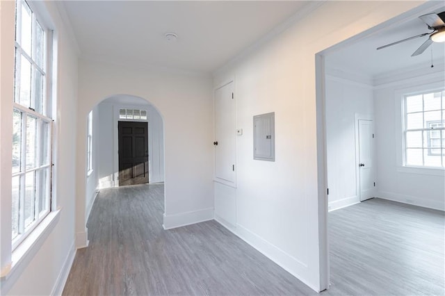 corridor featuring crown molding, electric panel, and dark hardwood / wood-style flooring