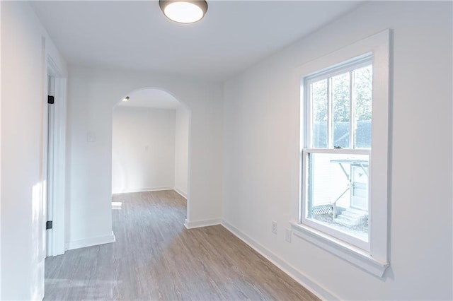 spare room featuring plenty of natural light and light hardwood / wood-style flooring