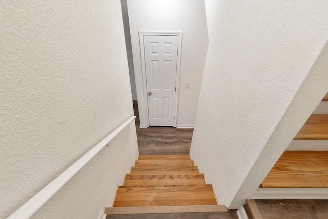 stairs with hardwood / wood-style flooring