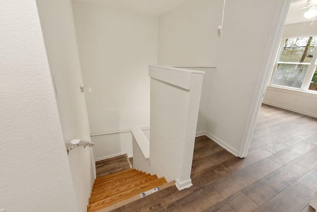 staircase featuring hardwood / wood-style floors