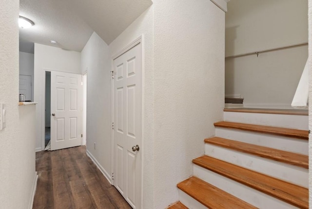 staircase with hardwood / wood-style floors