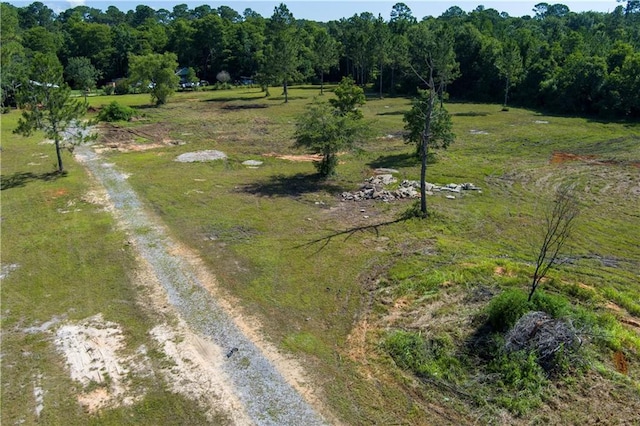 10585 Bellingrath Rd, Theodore, AL 36582