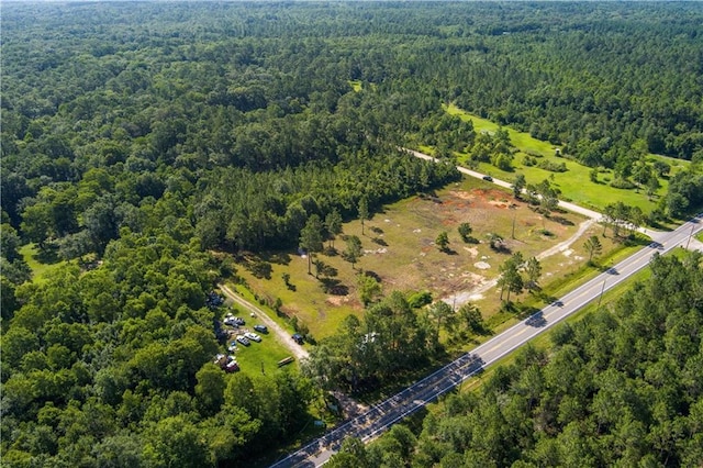 10585 Bellingrath Rd, Theodore, AL 36582