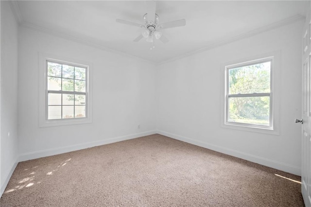 carpeted spare room featuring ceiling fan, plenty of natural light, and crown molding