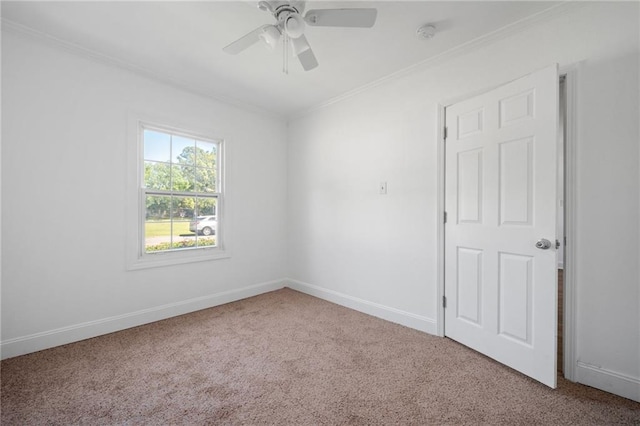 carpeted spare room with ceiling fan and ornamental molding