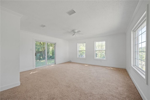 carpeted empty room featuring ornamental molding, ceiling fan, and a textured ceiling