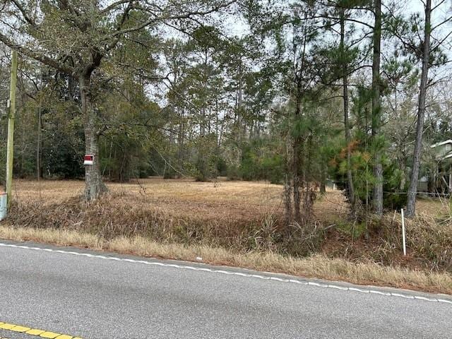 9391 Baptiste Dr E, Theodore AL, 36582 land for sale