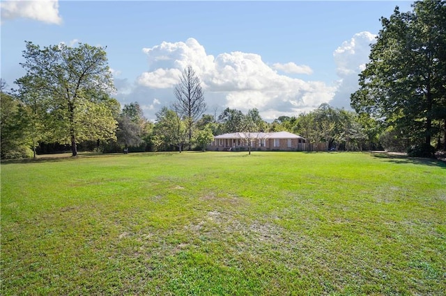 8170 Wilmer Georgetown Rd, Wilmer, AL 36587 - view of yard