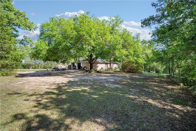 8170 Wilmer Georgetown Rd, Wilmer, AL 36587 - view of yard