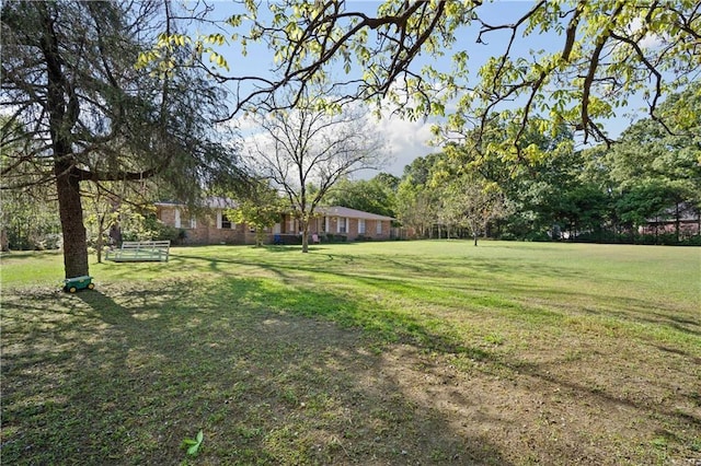 8170 Wilmer Georgetown Rd, Wilmer, AL 36587 - view of yard